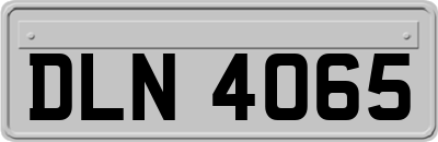 DLN4065