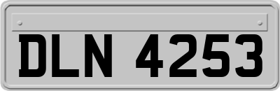 DLN4253
