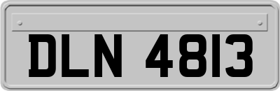 DLN4813