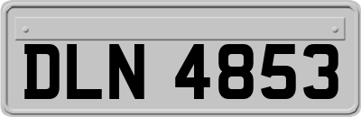 DLN4853