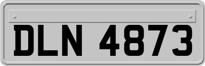 DLN4873