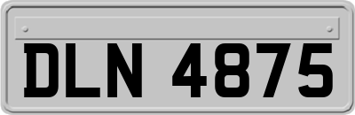 DLN4875
