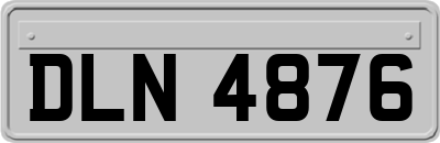 DLN4876