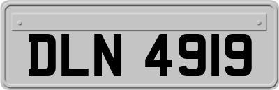 DLN4919