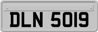 DLN5019