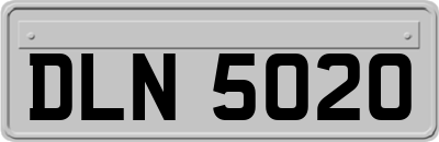DLN5020