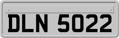 DLN5022