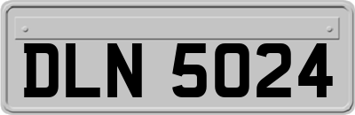 DLN5024