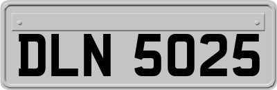 DLN5025