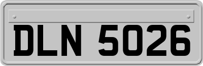 DLN5026