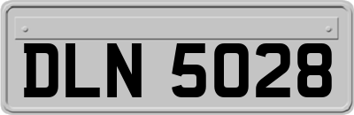 DLN5028