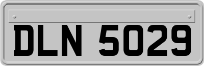 DLN5029