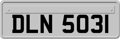 DLN5031