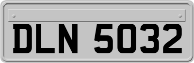 DLN5032