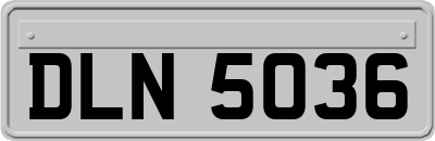 DLN5036