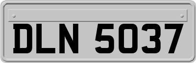 DLN5037