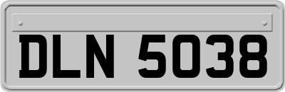 DLN5038