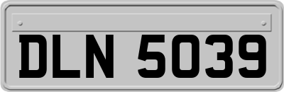 DLN5039