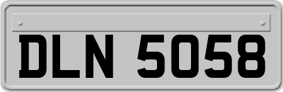 DLN5058