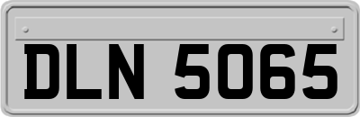 DLN5065