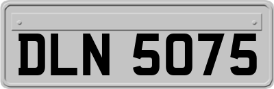 DLN5075