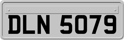 DLN5079