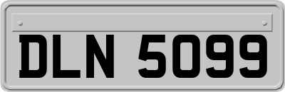 DLN5099