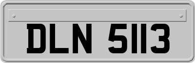 DLN5113