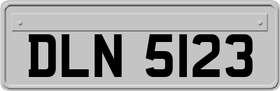 DLN5123