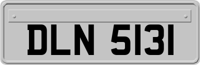 DLN5131