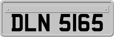 DLN5165