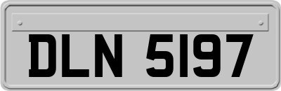 DLN5197