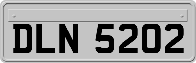 DLN5202