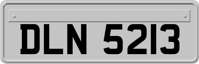 DLN5213