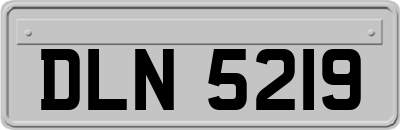 DLN5219