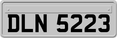 DLN5223