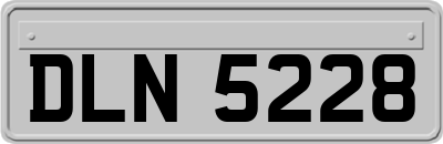 DLN5228
