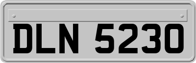DLN5230