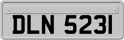 DLN5231