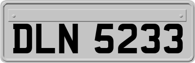 DLN5233