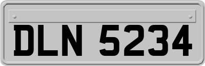 DLN5234