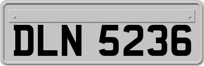 DLN5236