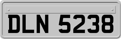 DLN5238