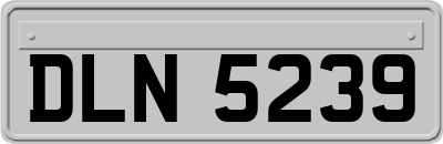 DLN5239