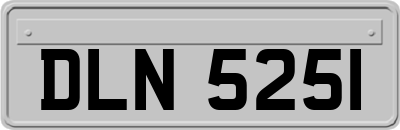 DLN5251