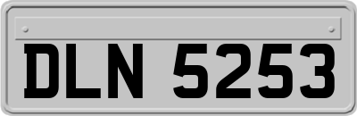 DLN5253