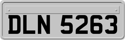 DLN5263