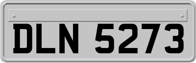DLN5273