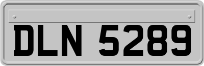 DLN5289