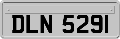 DLN5291